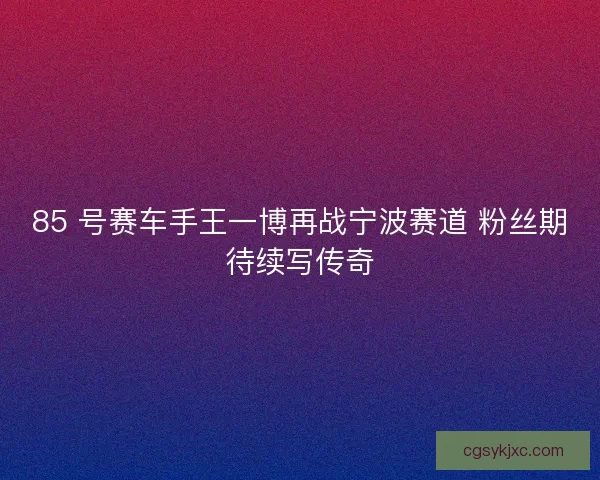 85 号赛车手王一博再战宁波赛道 粉丝期待续写传奇